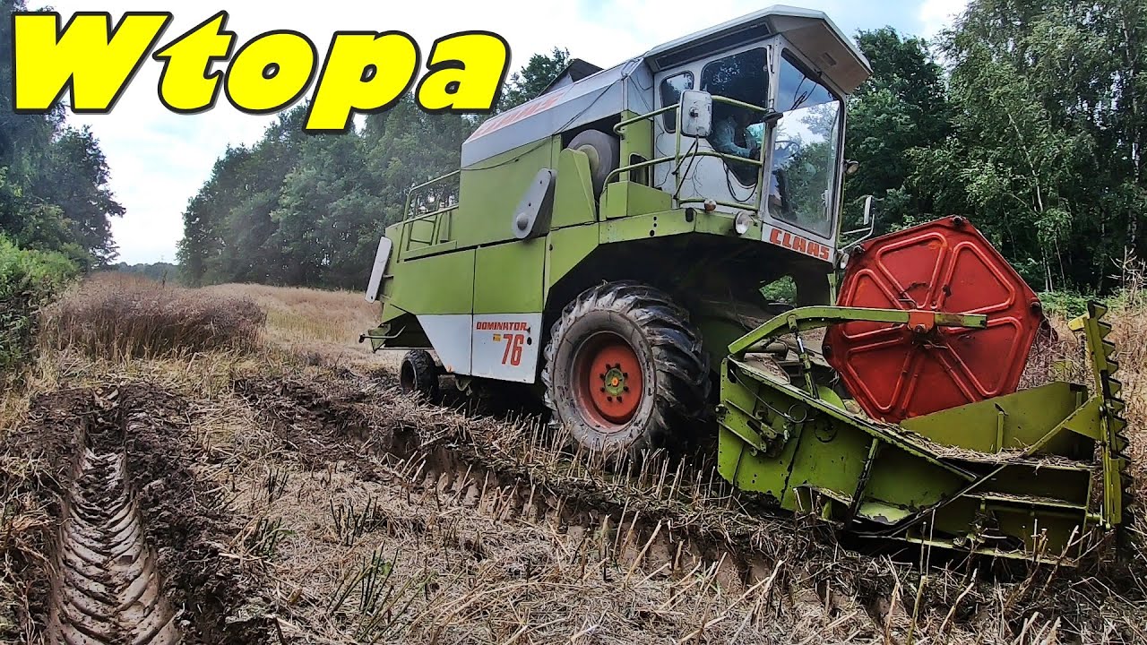 Wyciąganie kombajnu, ulewa mnie zaskoczyła - Żniwa rzepak