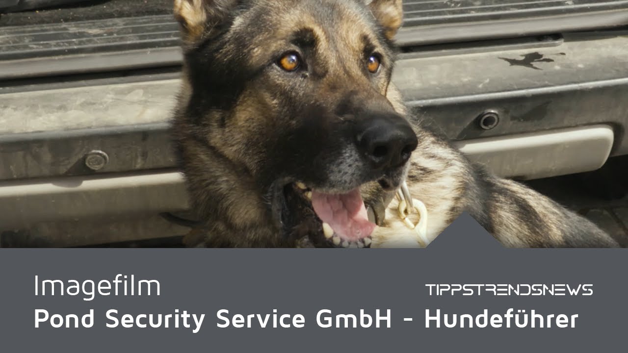 Imagefilm / Pond Security Service GmbH - Hundef&uuml;hrer