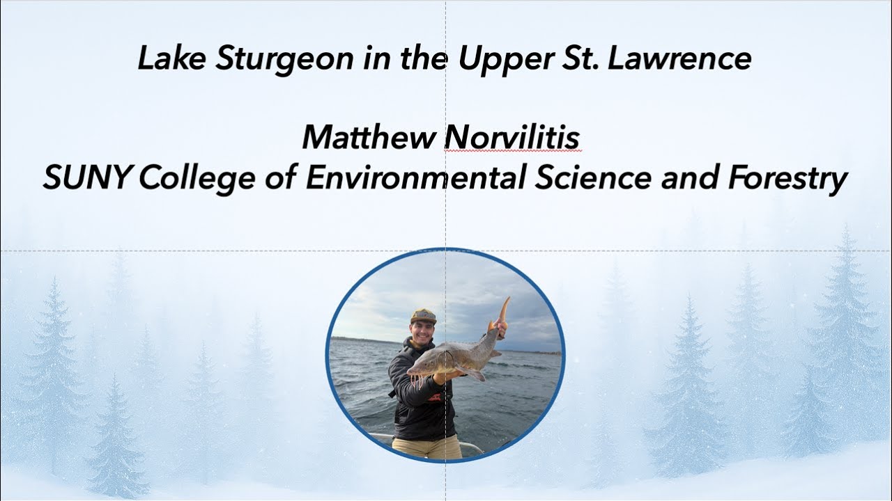 Matthew Norvilitis–Sturgeon in the Upper St. Lawrence–37th Annual Winter Environmental Conference