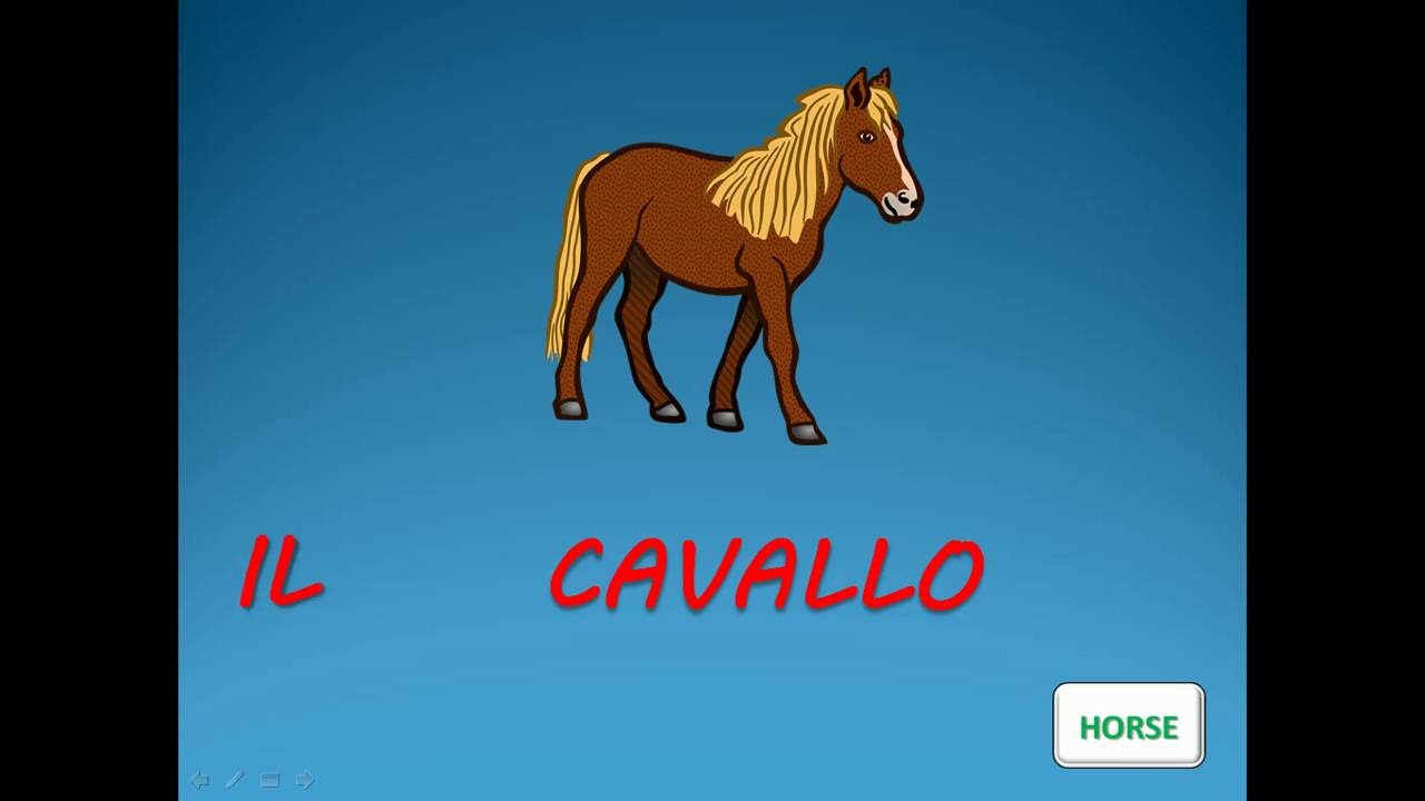ITALIAN VOCABULARY : ANIMALS - Vocaboli italiani : animali - ITALIAN LESSONS - ITALIENISCH : TIERE