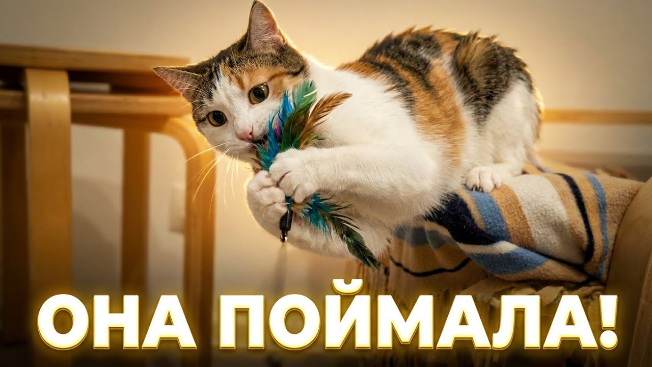 Фешка играет с пёрышками