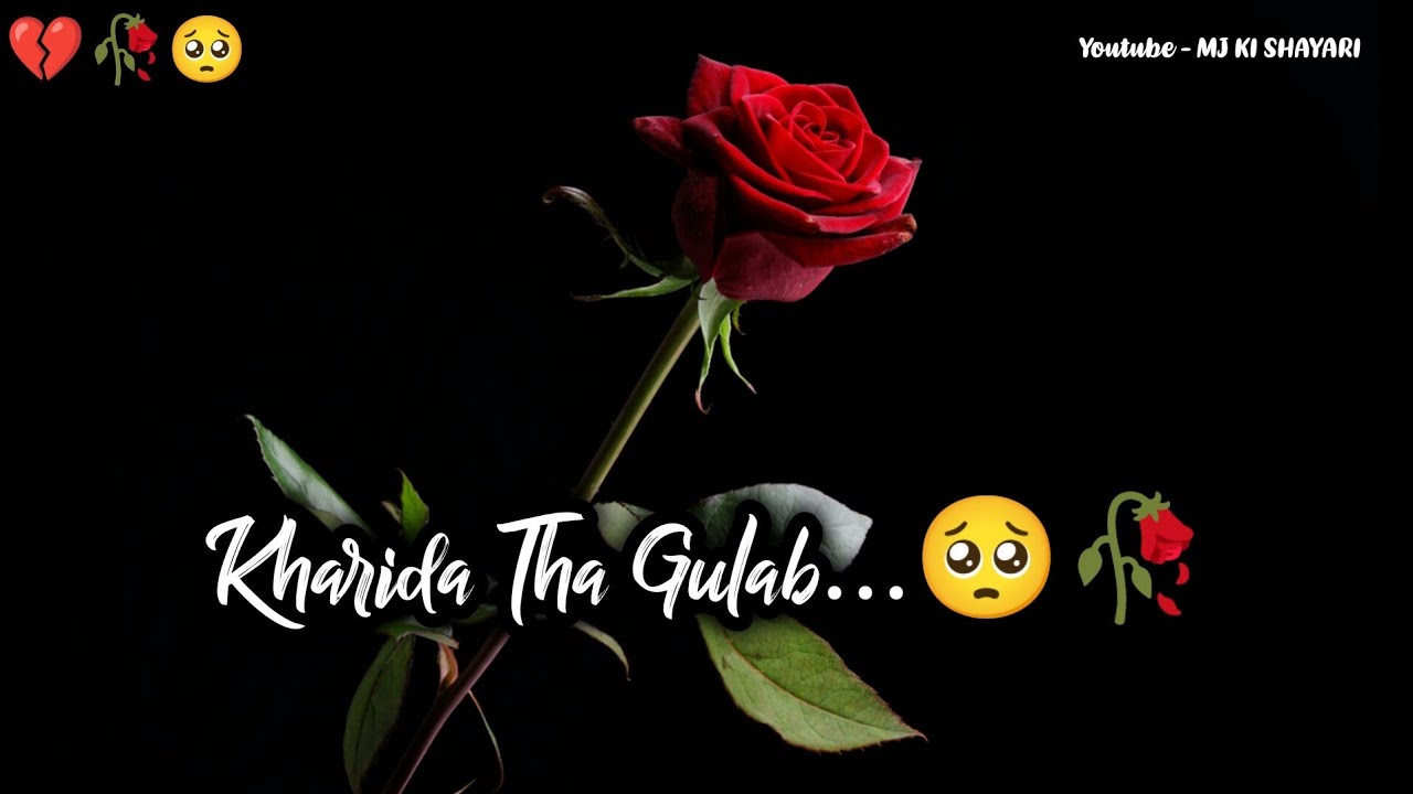 Kharida Tha Gulab 🥺🥀| Rose Day Status | Sad Shayari Status | Rose Day Shayari Video | Broken Heart 💔