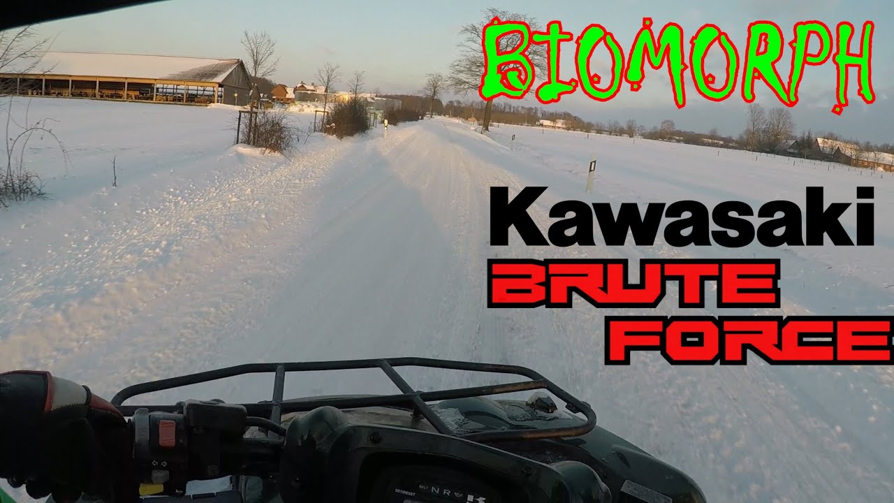 Gefrorene Landstraßen sind mein Racetrack | Kawasaki KVF 750 Brute-Force | BI0M0RPH