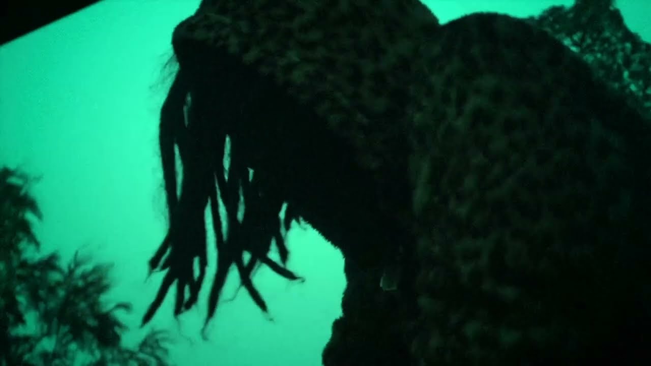 CHILD WEAK - EMO OR TRAP (Official Music Video)