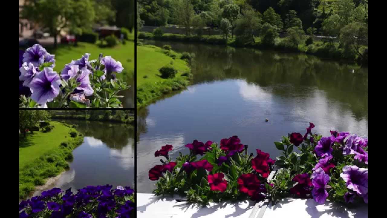 2014 - Petunien auf der Langsurer Br&uuml;cke