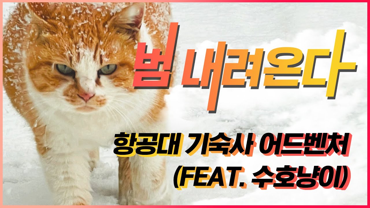 바쁘신 분들은 11분 19초부터 보시면 됩니다 | 수문장이 지키는 든든한 항공대 기숙사 1인칭으로 탐험하기 🐯