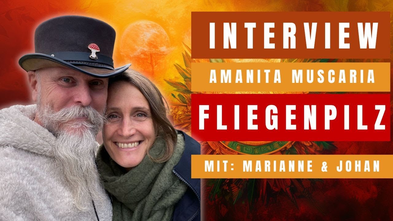 Das Comeback des ZAUBERPILZ Amanita Muscaria | Interview mit Johan und Marianne Niklasson