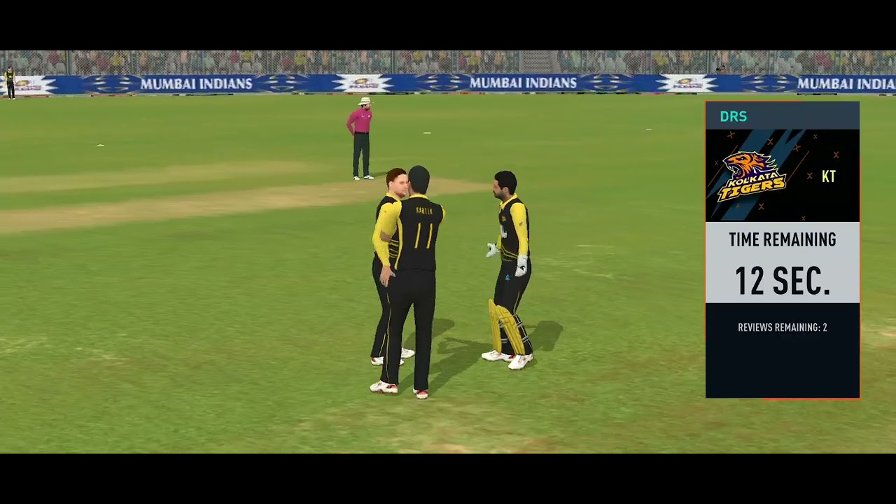 Cricket