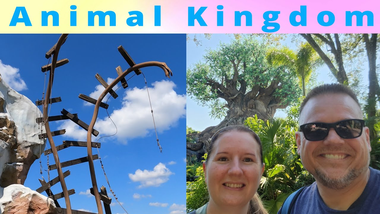 Animal Kingdom - Disney World Sept 2025