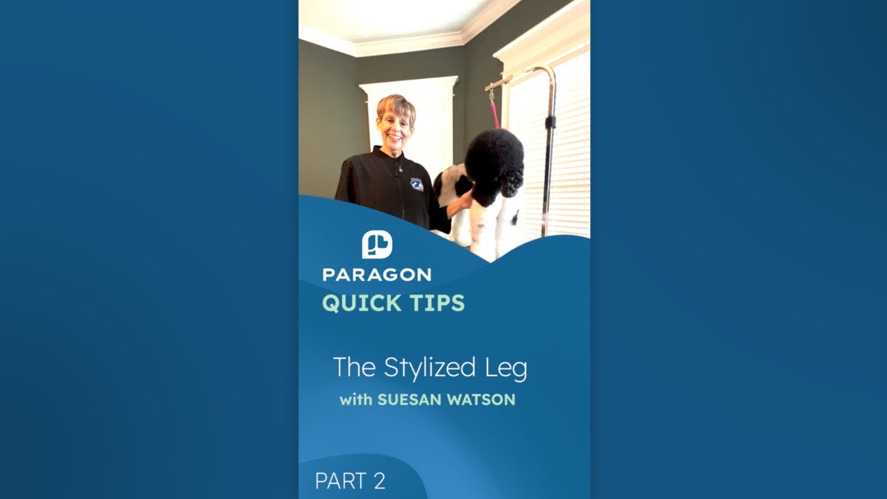Quick Tips: The Stylized Leg with Suesan Watson - Part 2