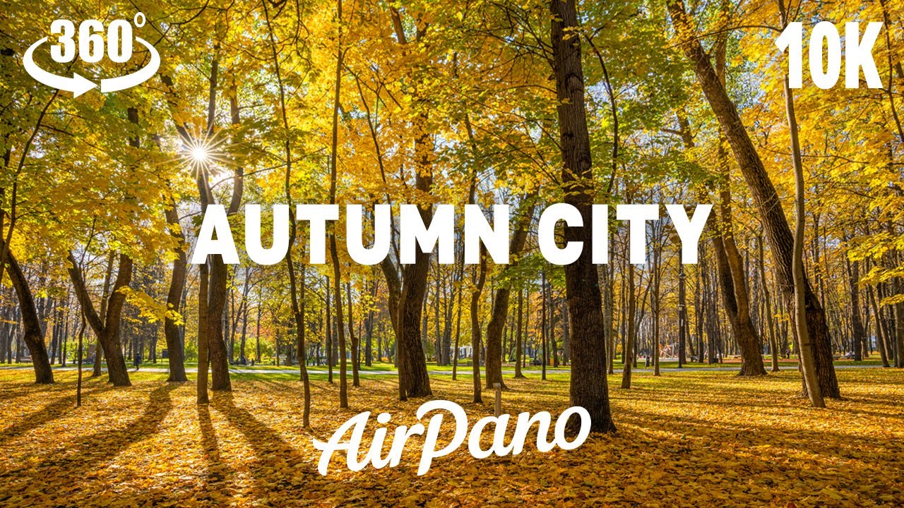 Autumn City. 10K VR Meditation