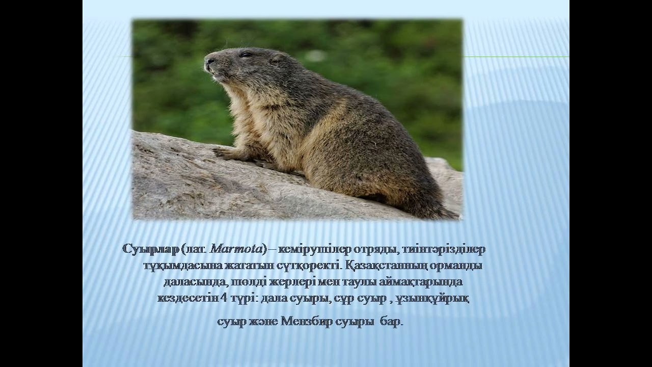 Қазақстанның флорасы мен фаунасы