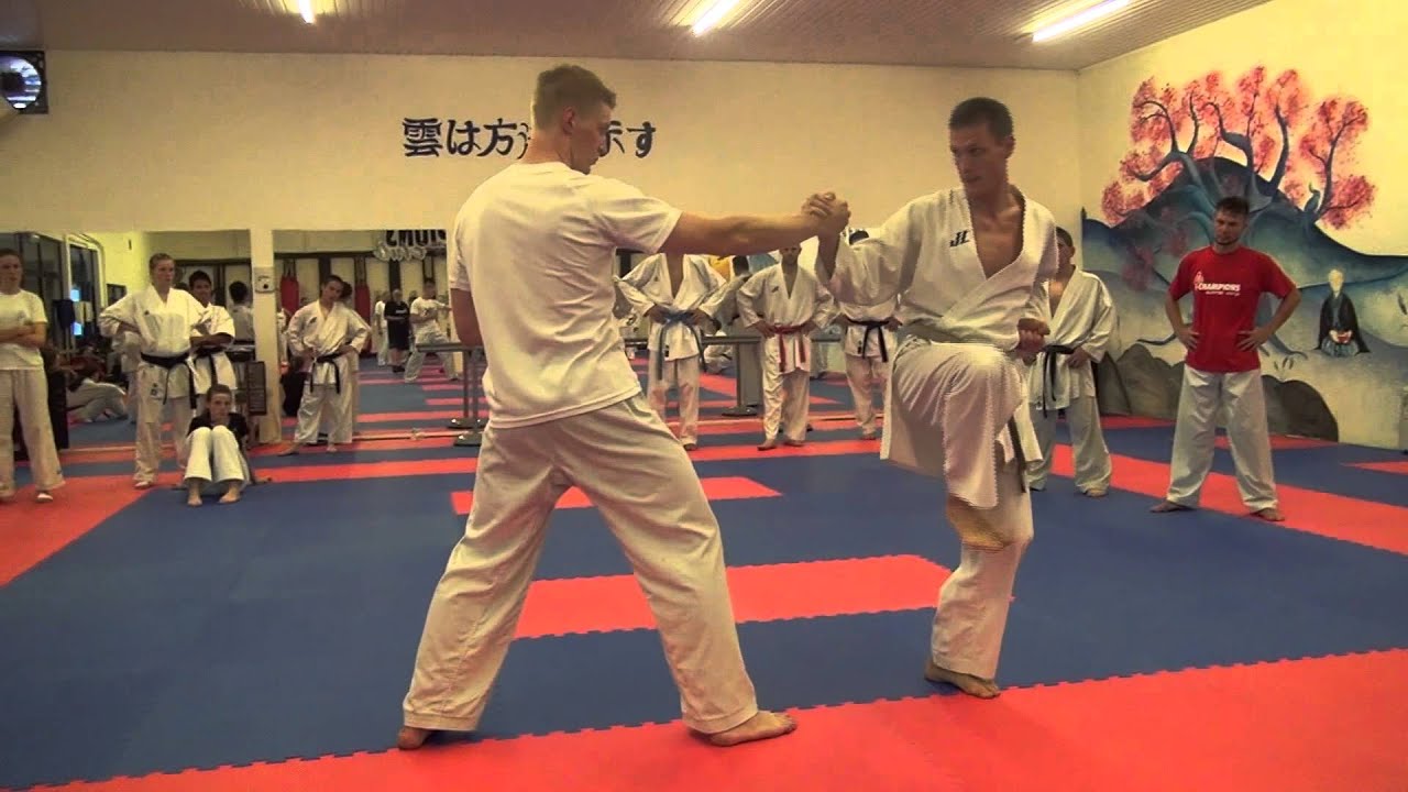 2012: Summercamp2 / Day1-Kumite (2)