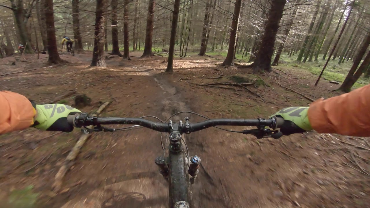 Bristol MTB Riders @ Forest of Dean,  off piste Feb 2020