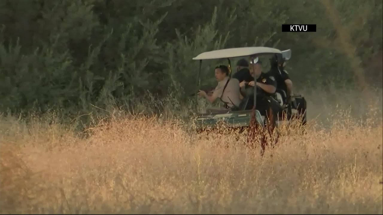 Footage of shooting at Garlic Festival