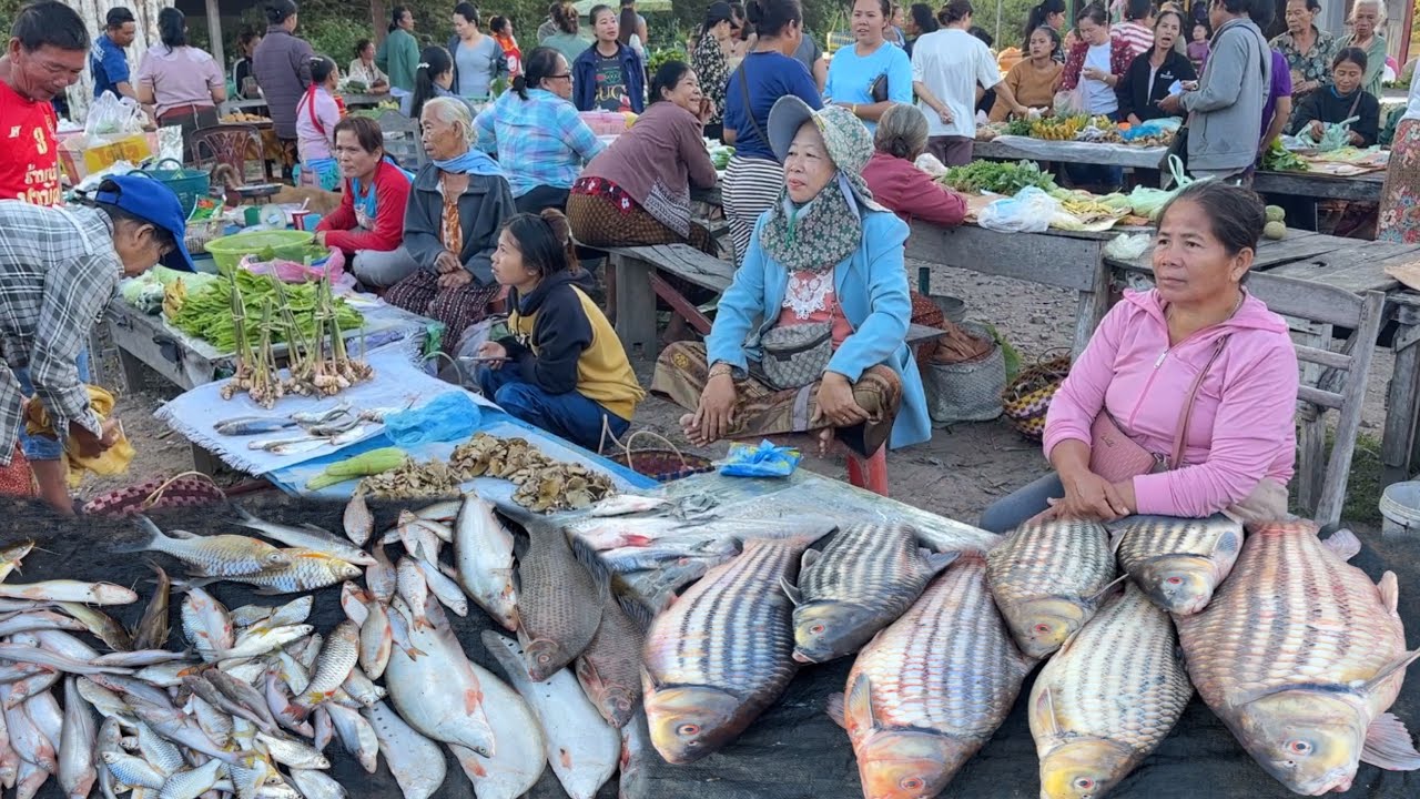 ຕະຫລາດເຊົ້າເມືອງໂຂງແຂວງຈຳປາສັກ/ตลาดเช้าเมืองโขงแขวงจำปาสัก/Lao morning market in Kong island