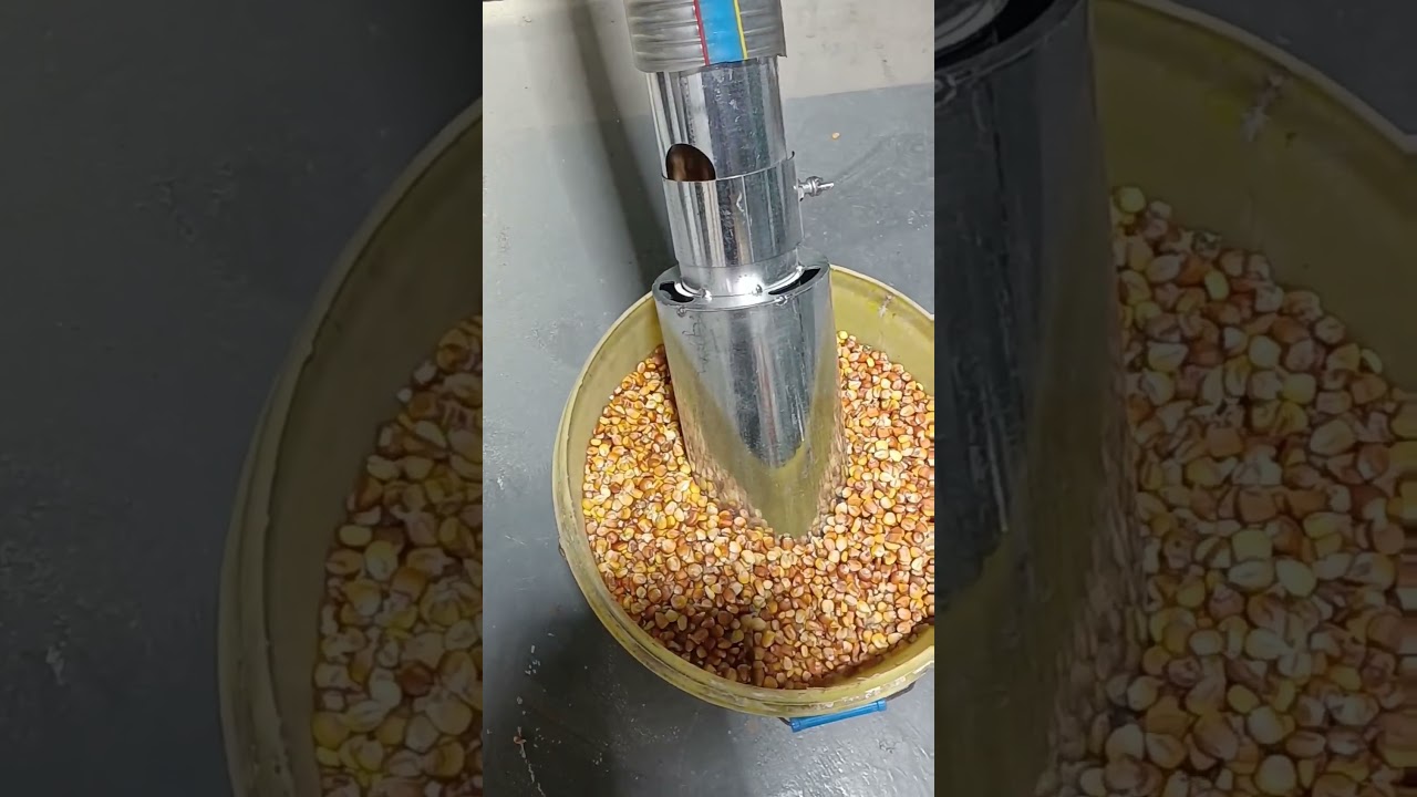 Self-Priming Corn Crusher in Action | One-Step Suction & Fine Grinding for Farms #feedpelletmachine