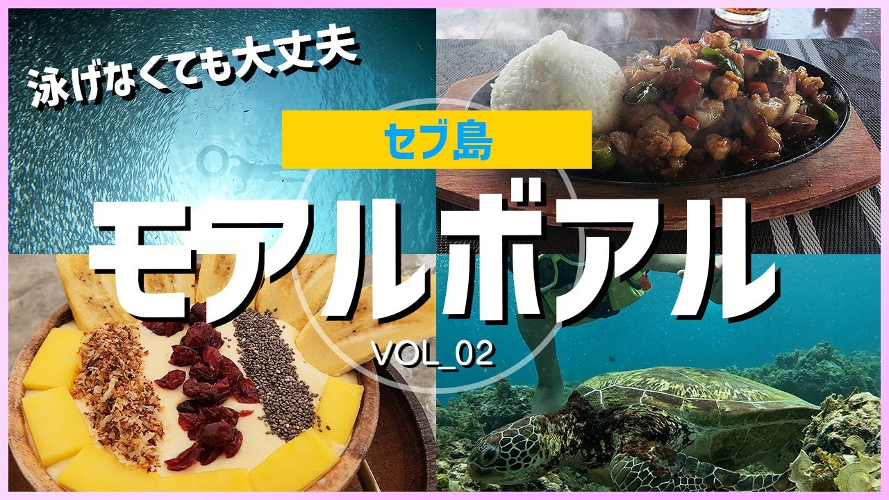 泳げなくてもシュノーケリング！モアルボアルでイワシトルネードとウミガメを1,500円でコスパ体験【セブ島/モアルボアル】
