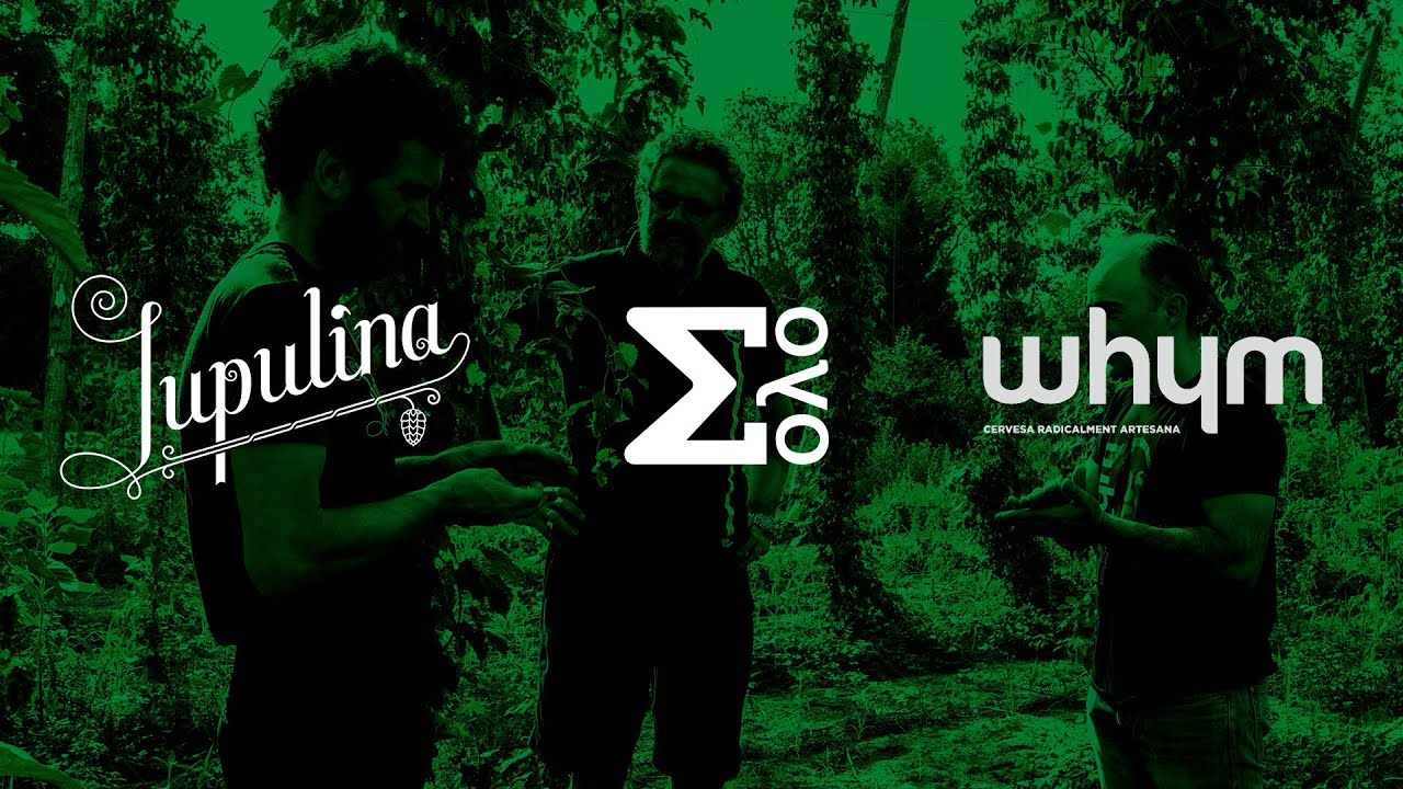Colaboración: Lupulina – Solo Beer – Whym