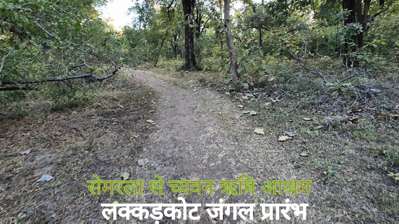 Narmada parikrama | Day 57 | च्यवन ऋषि आश्रम में रात्रि विश्राम | लक्कड़ कोट जंगल प्रारंभ