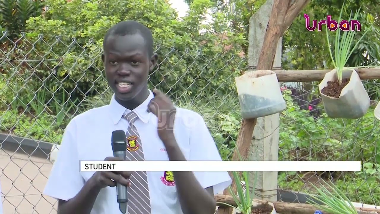 Green schools initiative, Mengo ss implementing project