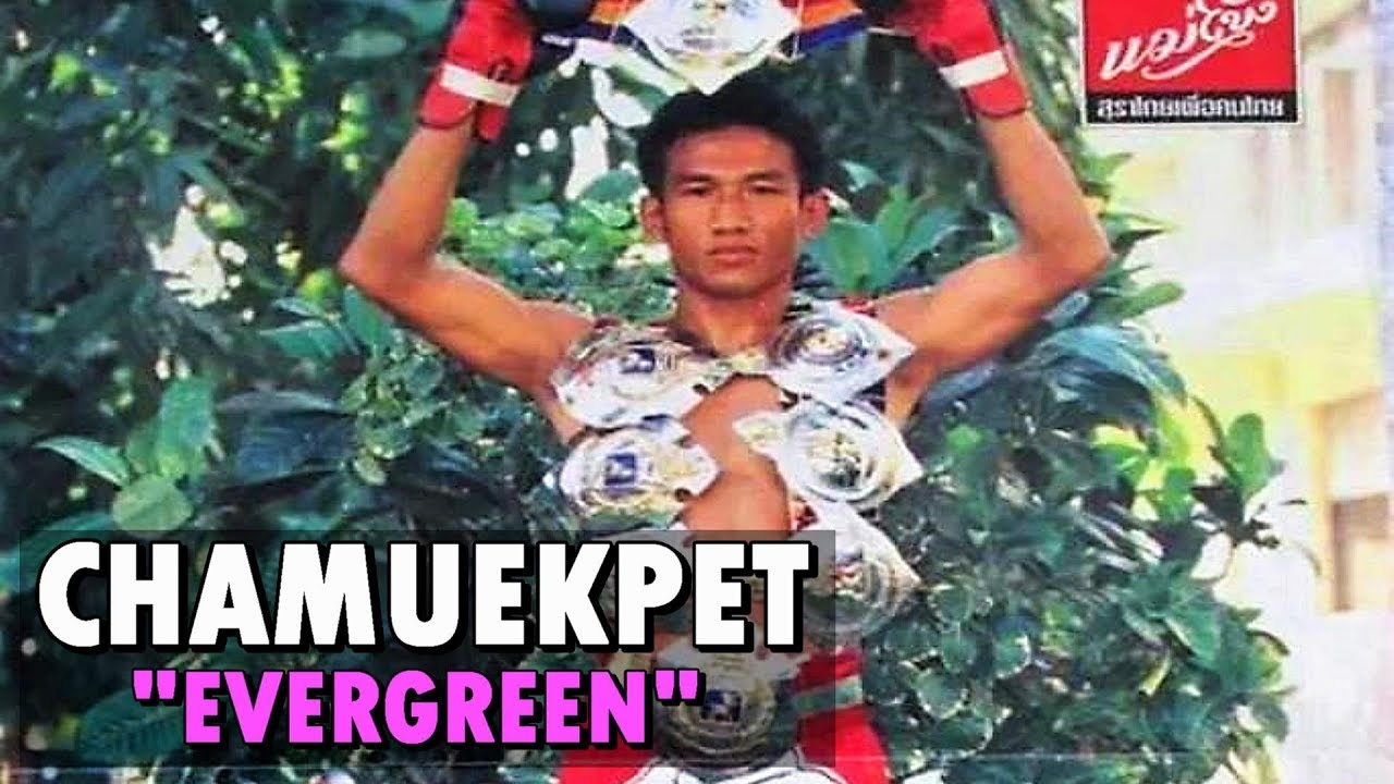 Chamuekpet Hapalang 