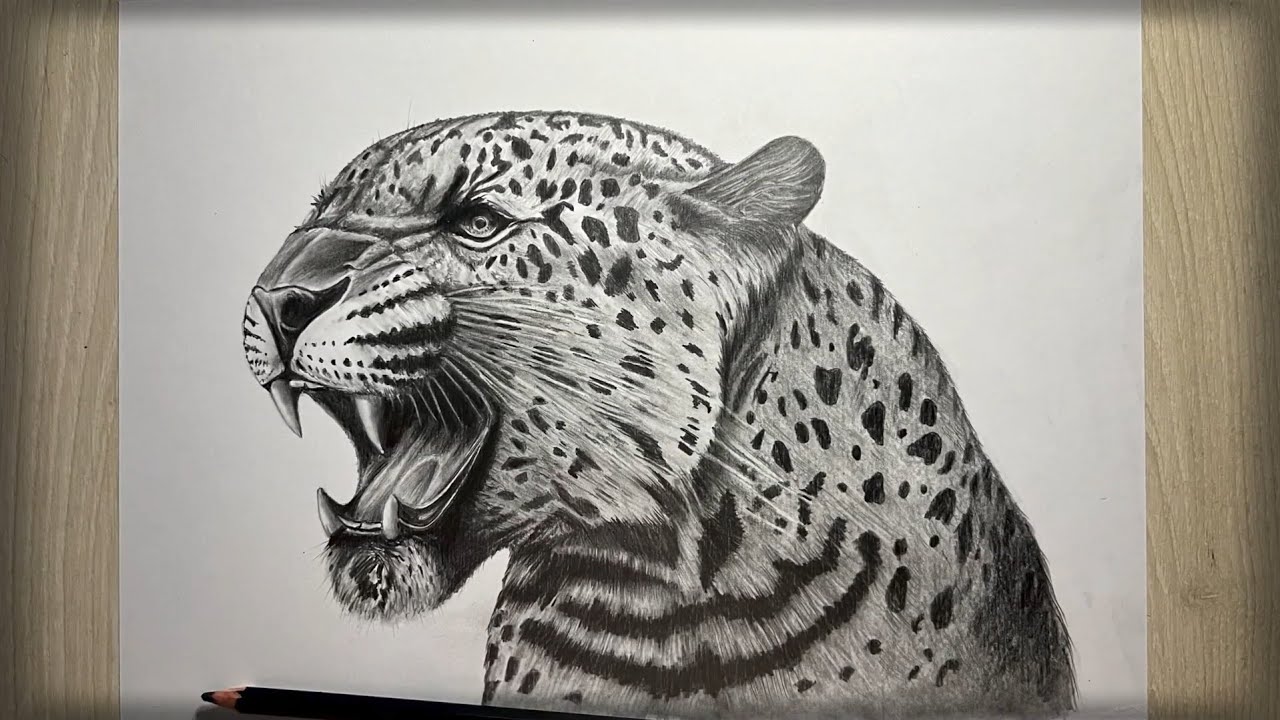 Cómo dibujar un Leopardo(Panthera pardus)realista|paso o paso|Рисуем Леопарда|Leopard