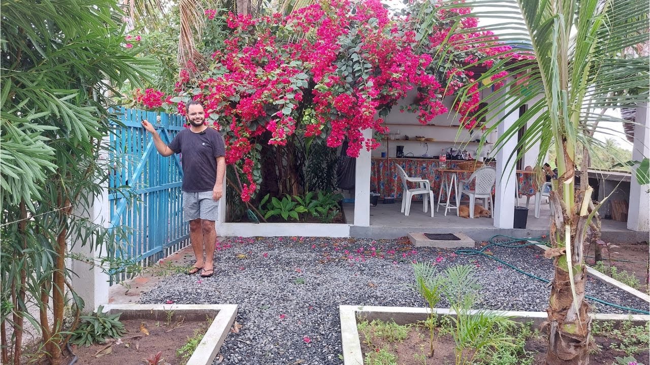 CASINHA de MATO / TOUR pelo JARDIM e PLANTAS em um dia chuvoso
