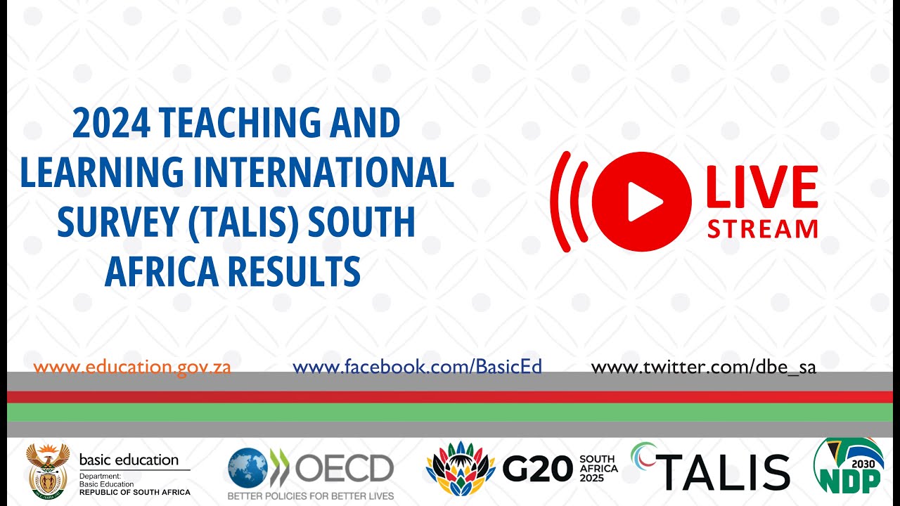 TALIS 2024 South Africa Country Report || Afternoon Discussions