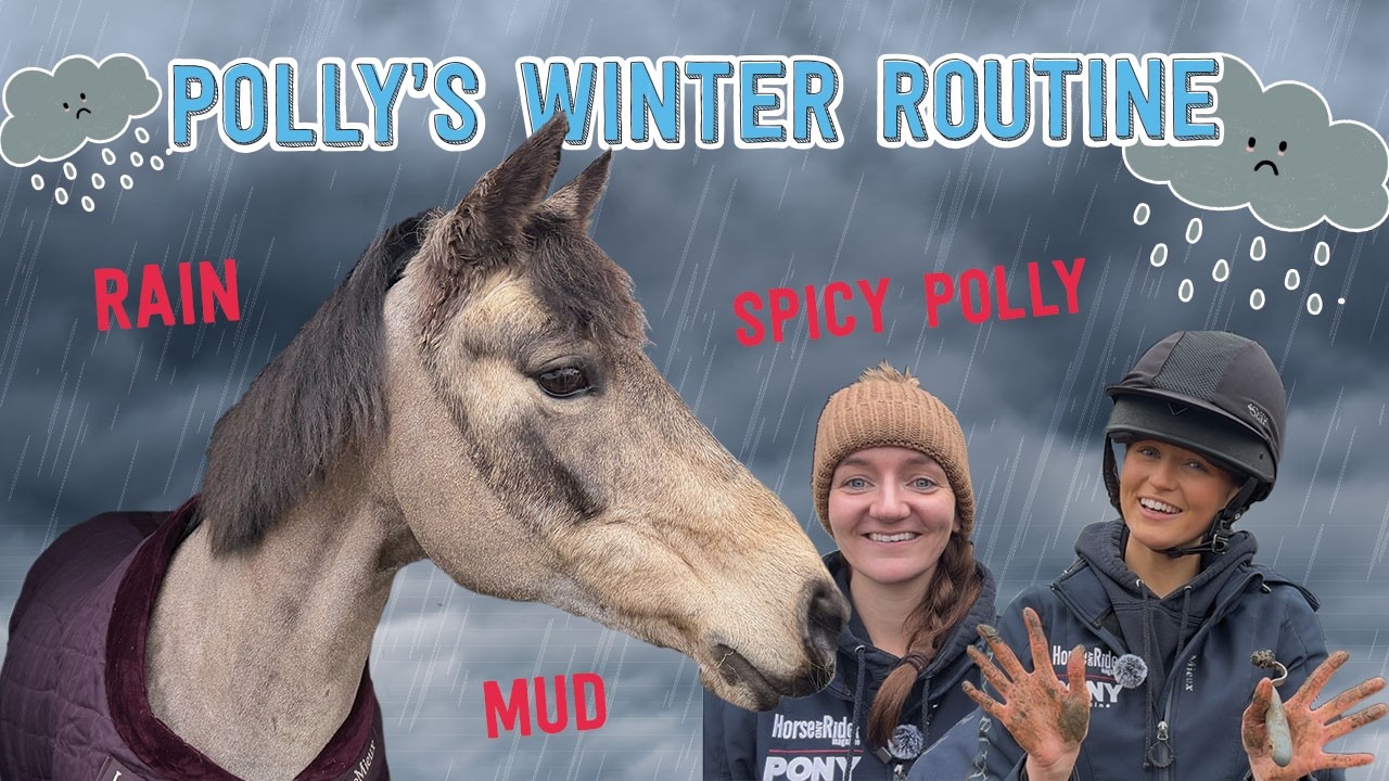Polly's winter routine 🌧️