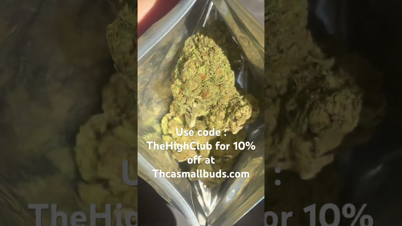 THCA SMALL BUDS London Pound Cake ! Comment below what strain next ! #weedchannel #weed #cannabis