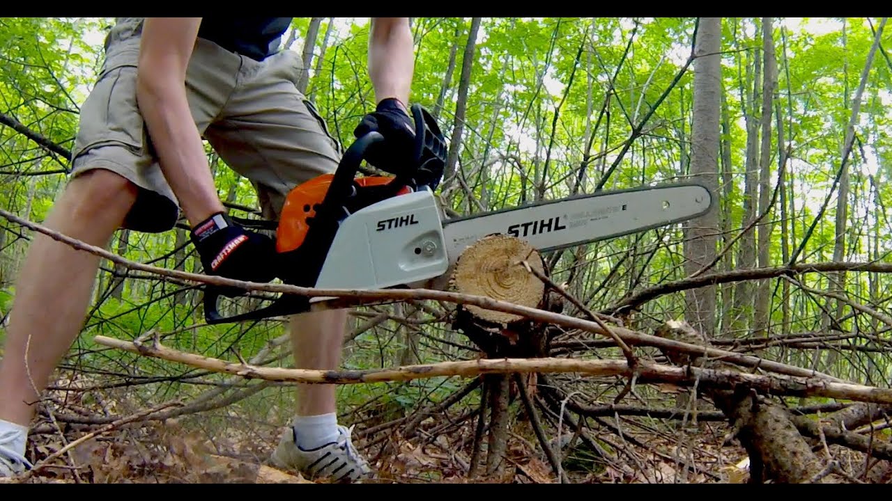 Stihl MS 171 Review