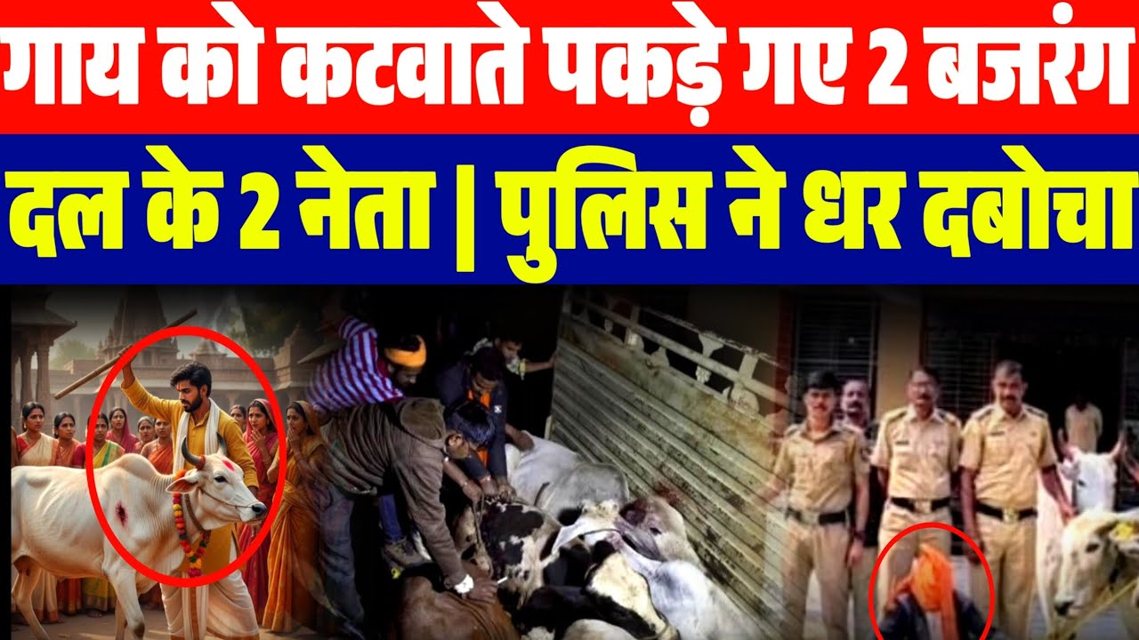 गाय को कटवाते पकड़े गए 2 बजरंग दल के 2 नेता | पुलिस ने धर दबोचा | देखें वीडियो 