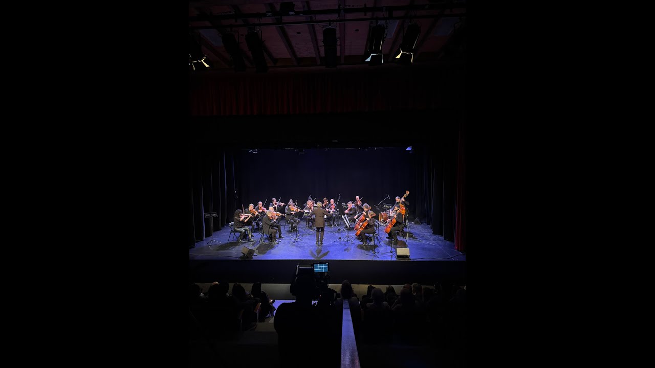CONCERT DE LA CONSTITUCIÓ 2025 - FUNDACIÓ ONCA