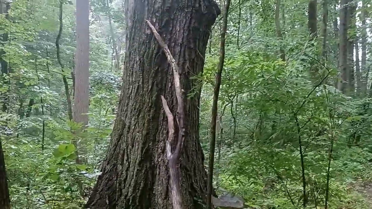History and scenery on Jugtown Mountain, Hunterdon County NJ