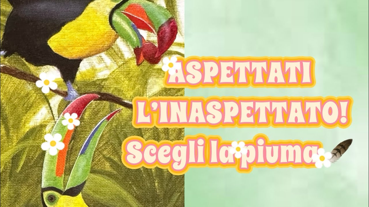 ASPETTATI L’INASPETTATO!Scegli la piuma #tarocchi#segnizodiacali#amore 
