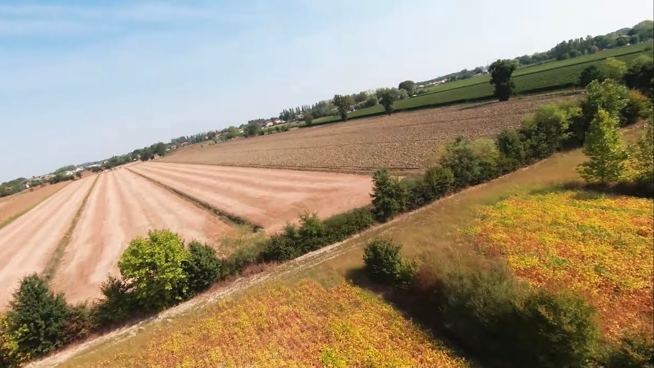 Fpv of Freedom