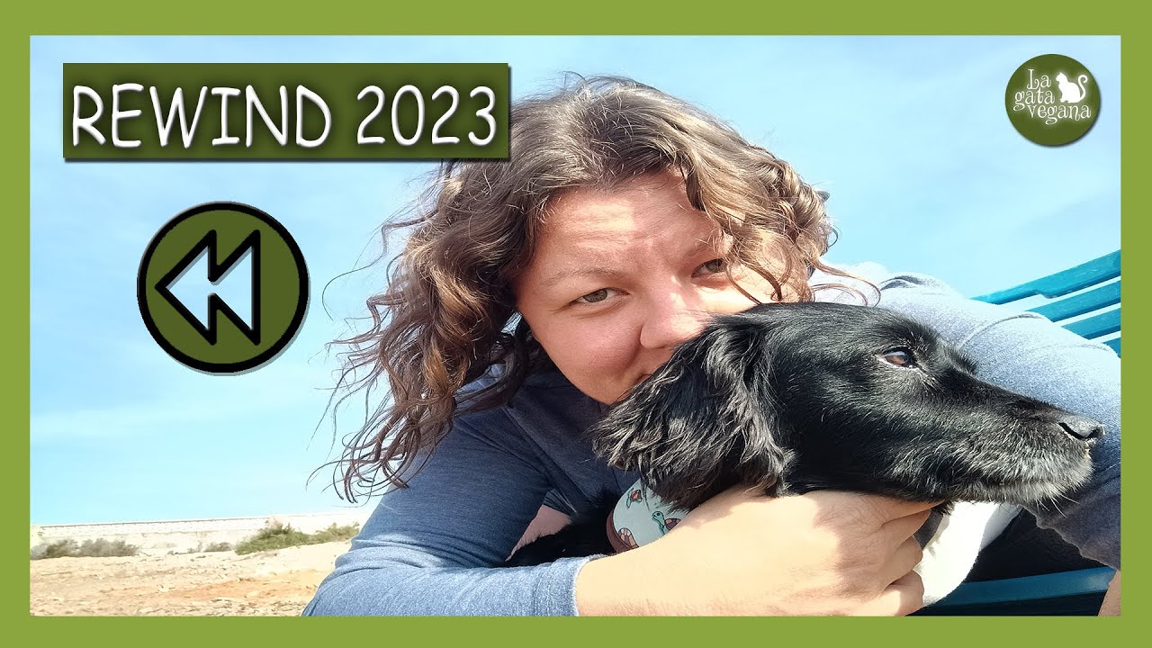 REWIND 2023 LA GATA VEGANA | RESUMEN MEJORES MOMENTOS DEL AÑO EN EL CANAL