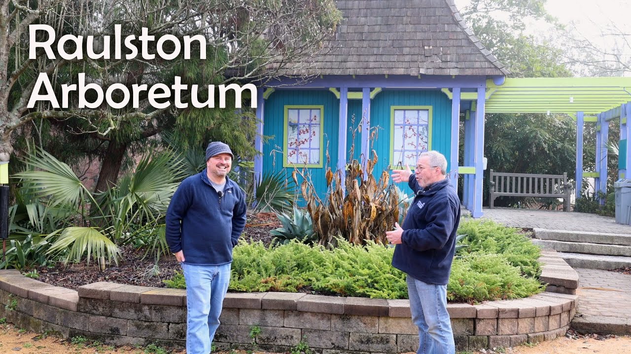Big Changes at the Raulston Arboretum - Solving Drainage Problems
