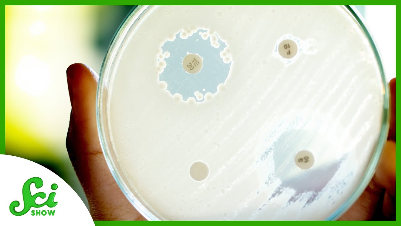 Hospitals are Hotspots for Antibiotic-resistant Germs