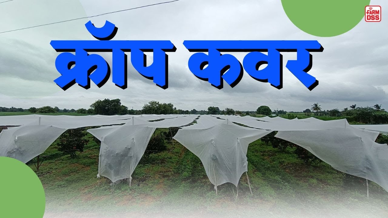 क्रॉप कवर @BTGore