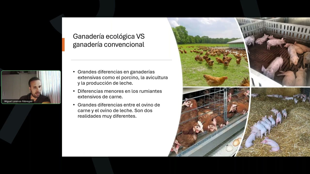 Webinar 2025: anado ovino en producción ecológica