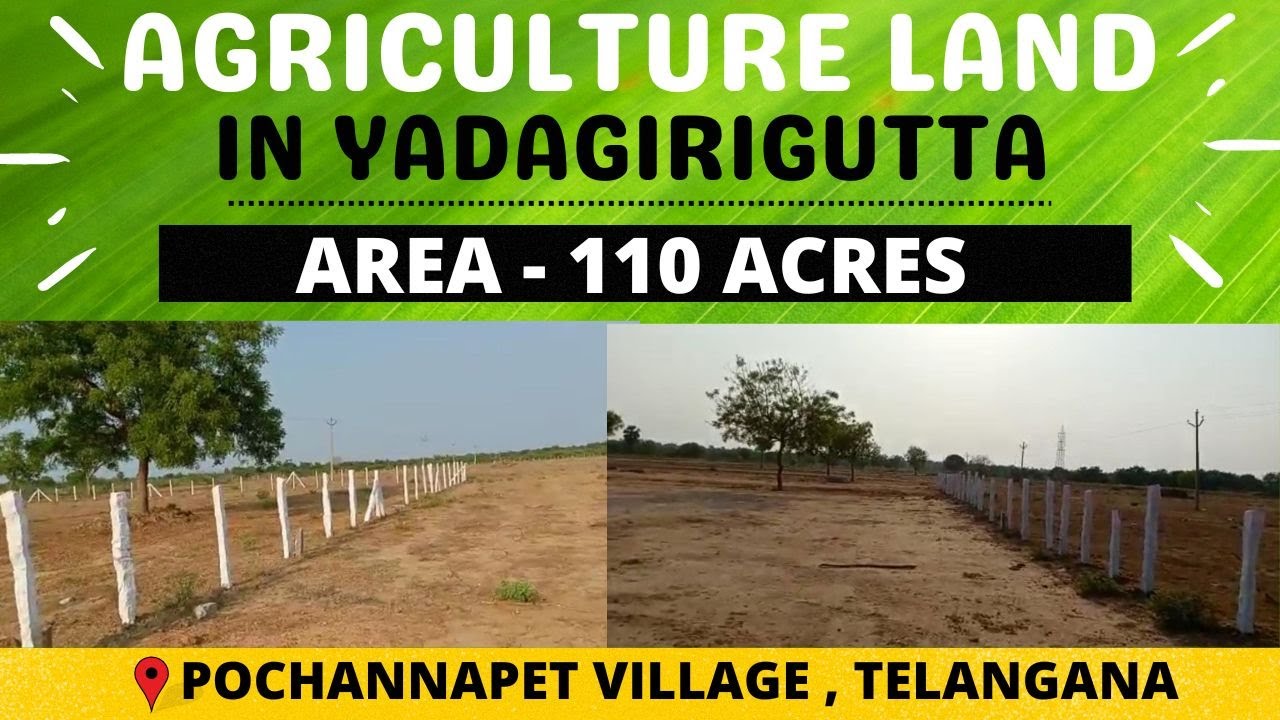 ALAIR : 110 ACRES AGRICULTURE LAND FOR SALE | RAJAPETA | YADAGIRIGUTTA | TELANGANA | Landsinindia.in