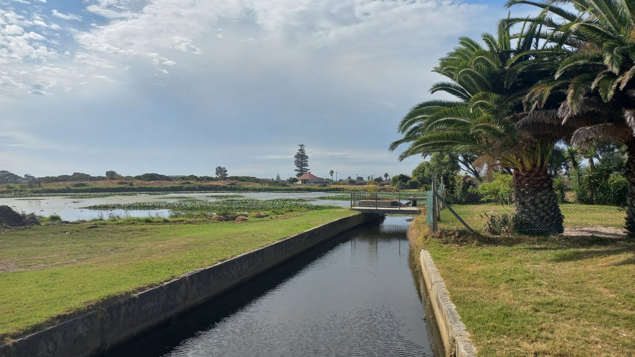 Diep River where it flows into Little Princess Vlei between Heathfield and Elfindale 