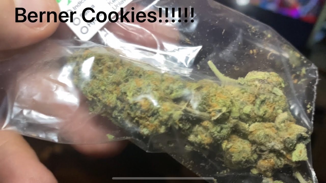 Berner Cookies Friday Weed Review