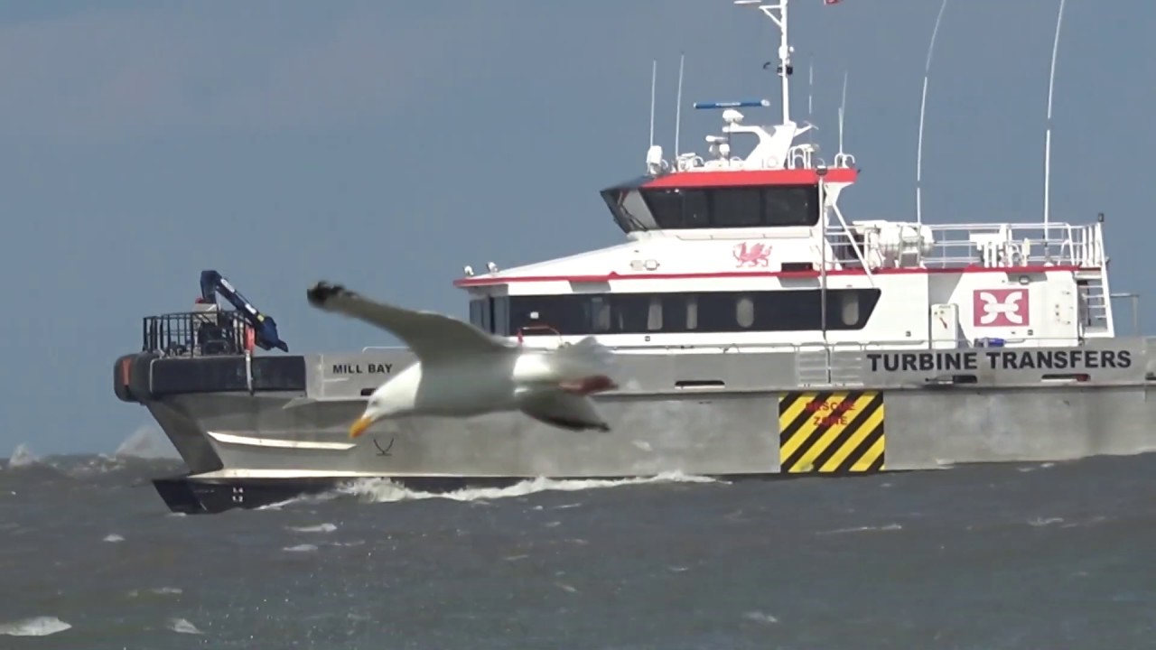 Notizen aus Norderney, Juni 2019