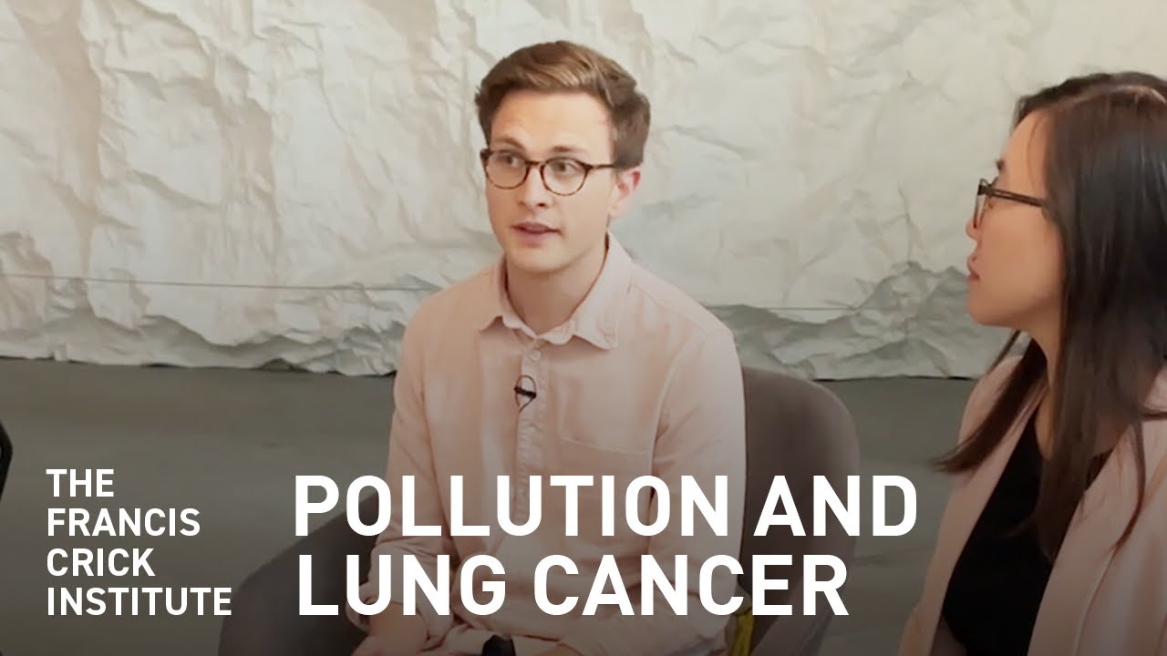 Researchers Discuss Link Between Air Pollution and Lung Cancer