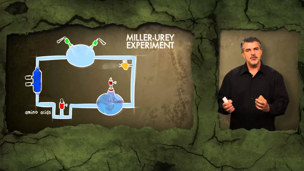 A Closer Look at Chemical Evolution (The Origin of Life)