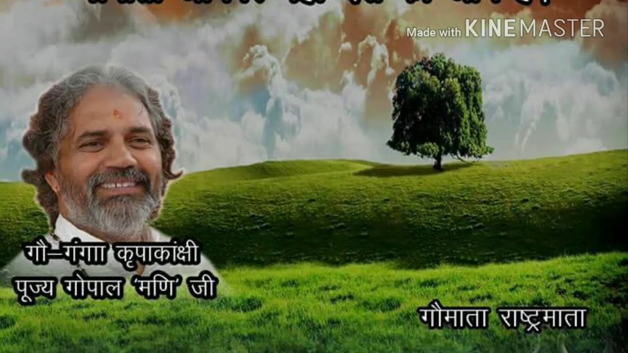 sadguru maharaaj hamara gau maata ki sewa batonda