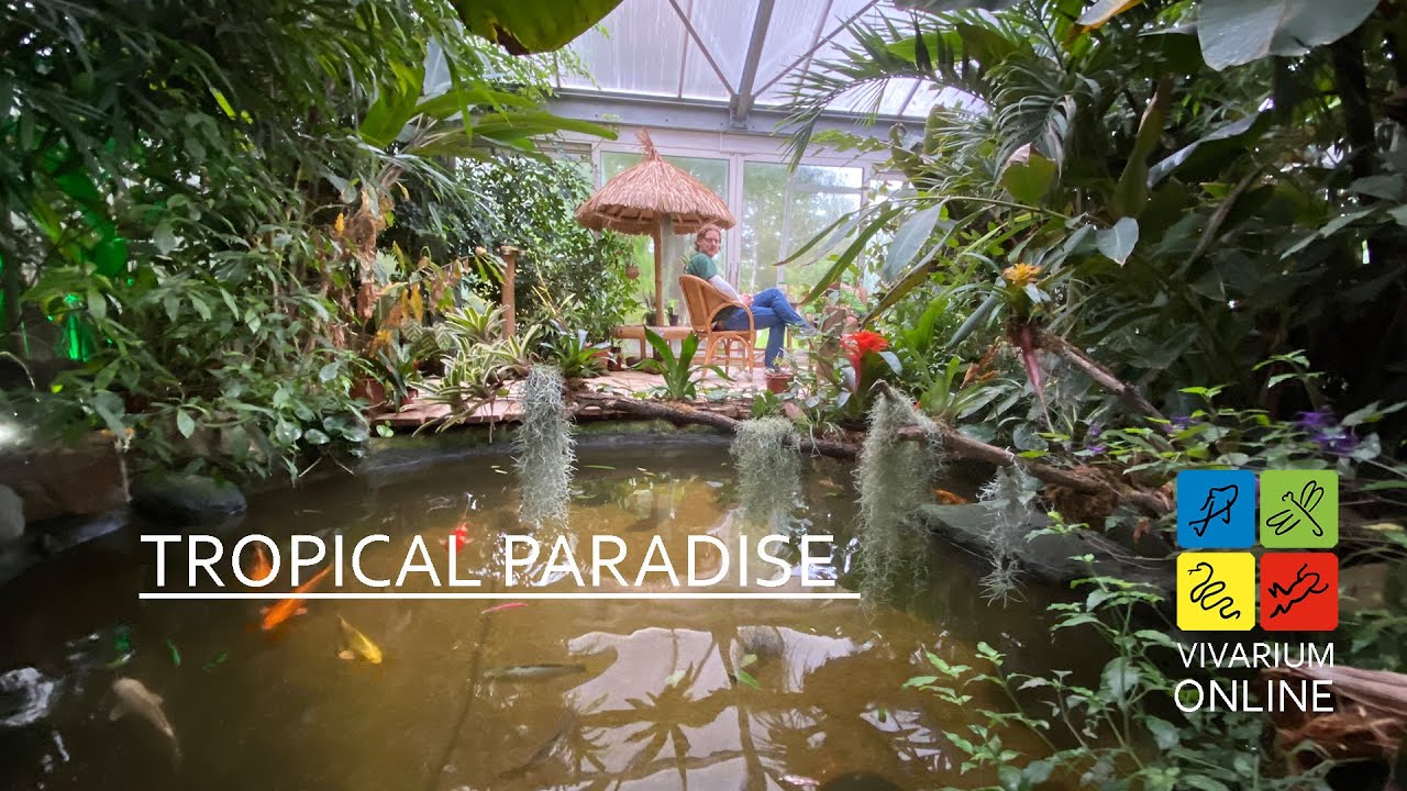 Vivarium Online - Een bezoek aan Tropical Paradise